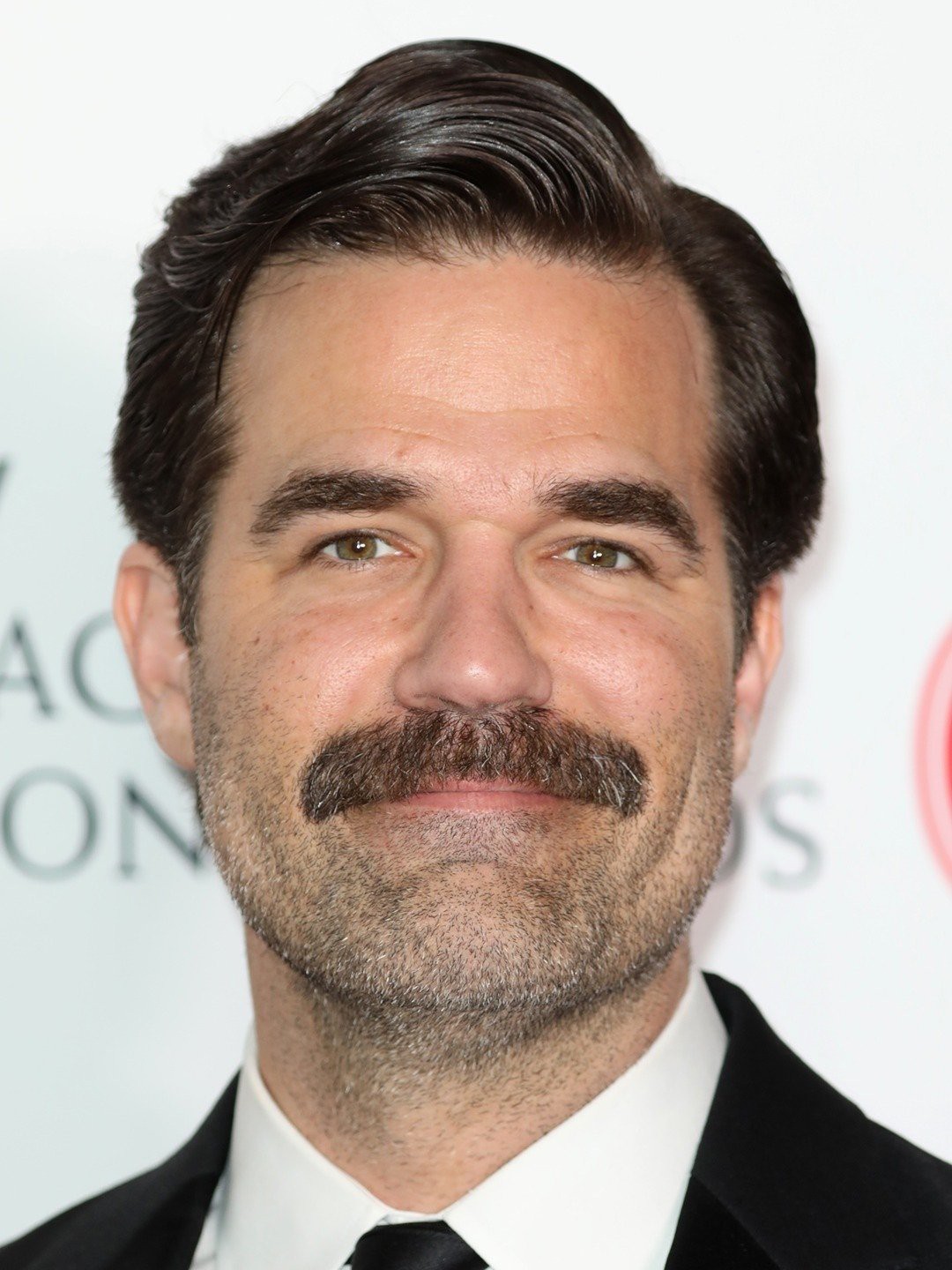 Rob Delaney best quotes