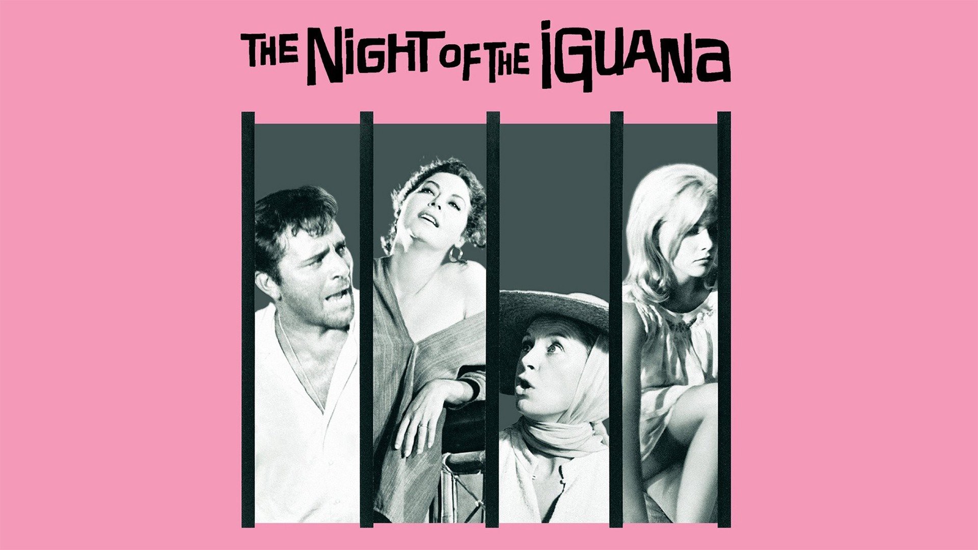 The Night of the Iguana