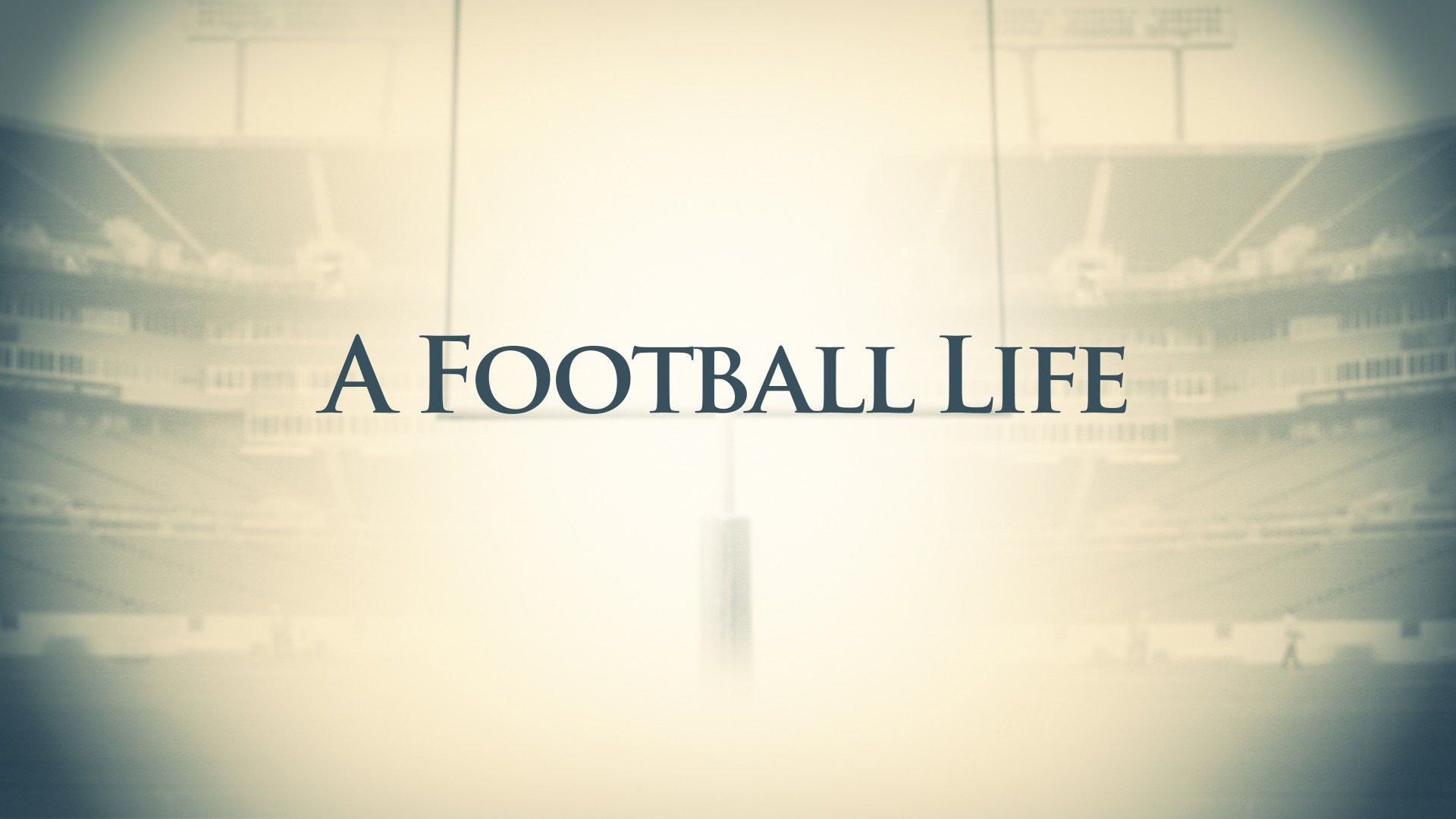 Program info nfl on fox pregame
