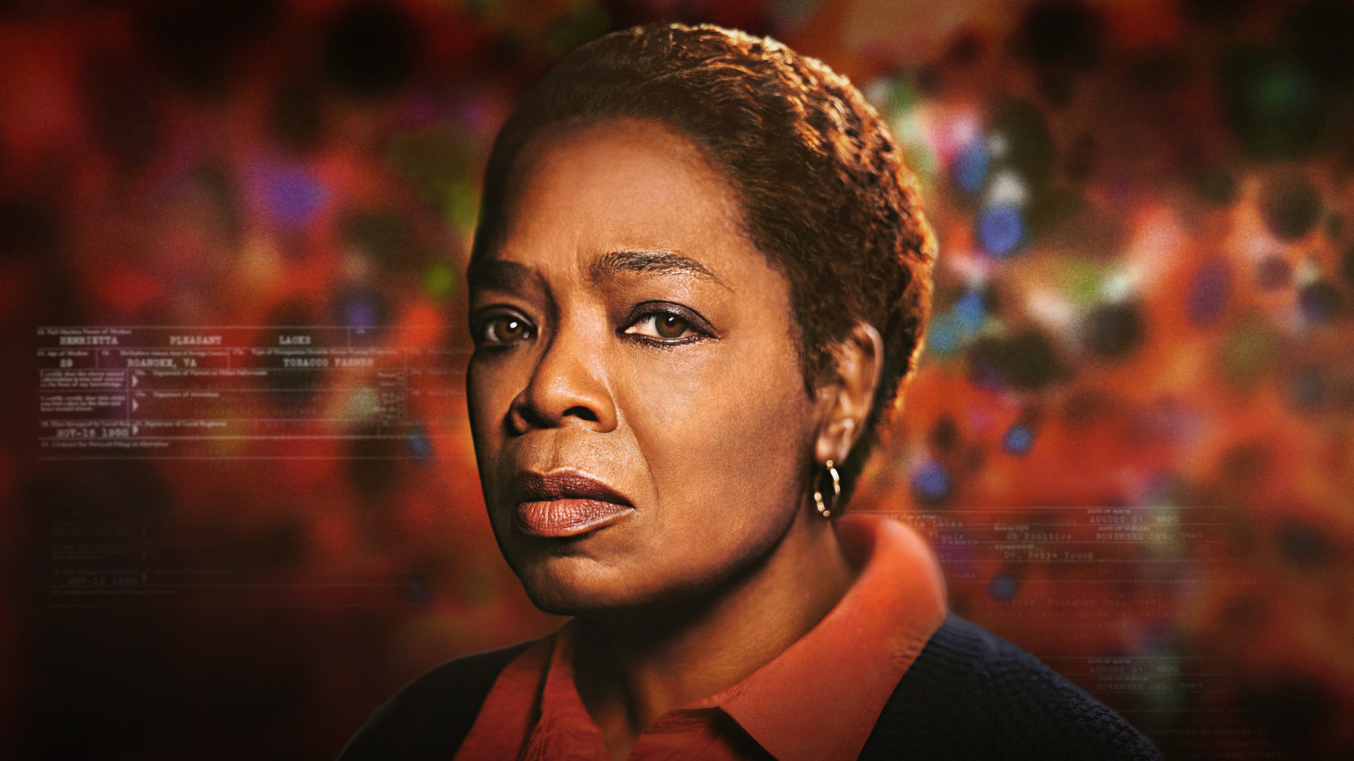 immortal life of henrietta lacks immortal life of henrietta lacks