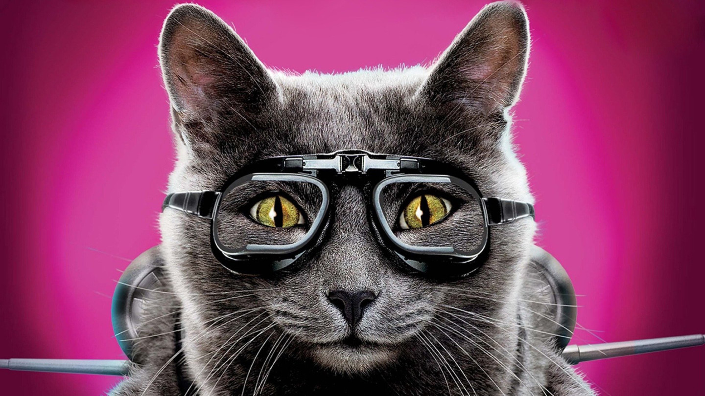 Watch Cats Dogs The Revenge Of Kitty Galore Online Verizon Fios Tv